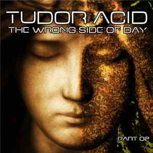Tudor Acid - The Wrong Side Of Day Part 02 mp3