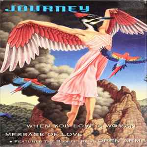 Journey - When You Love A Woman / Message Of Love mp3