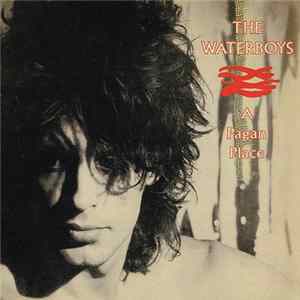 The Waterboys - A Pagan Place mp3