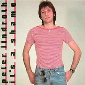 Peter Lindroth - It's A Shame mp3