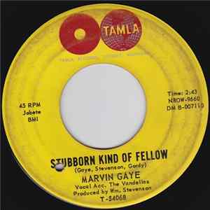 Marvin Gaye - Stubborn Kind Of Fellow / It Hurt Me Too mp3
