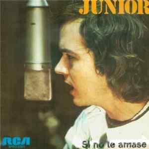 Junior - Si No Te Amase mp3