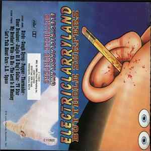 Butthole Surfers - Electriclarryland mp3