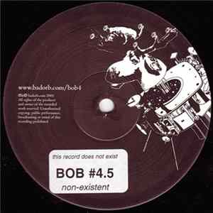 The Orb - Untitled mp3