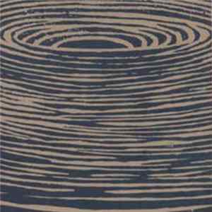 Voice Of The Seven Woods - Seventh Step mp3