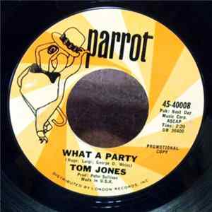 Tom Jones - What A Party mp3