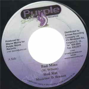 Red Rat / Nikki B - Bad Mine / Wave Your Hand mp3