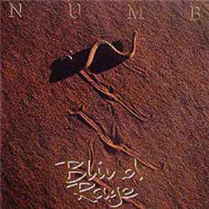 Blind Rage - Numb mp3