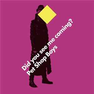 Pet Shop Boys - Did You See Me Coming? mp3