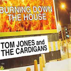 Tom Jones And The Cardigans - Burning Down The House mp3