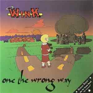 Wink - On The Wrong Way mp3