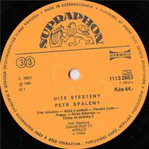 Petr Spálený - Dítě Štěstěny mp3