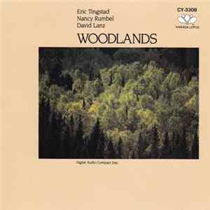 Eric Tingstad, Nancy Rumbel, David Lanz - Woodlands mp3