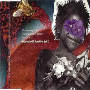 Tim DeLaughter - A Splash Of Sunshine Vol 2 mp3