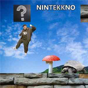 The Belgian Stallion - Nintekkno mp3