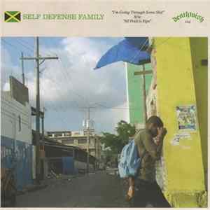 Self Defense Family - I'm Going Through Some Shit mp3