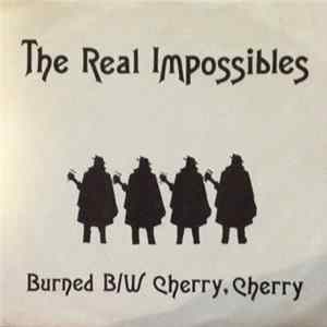 The Real Impossibles - Burned mp3