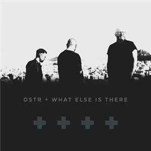 DSTR - What Else Is There (Version) mp3