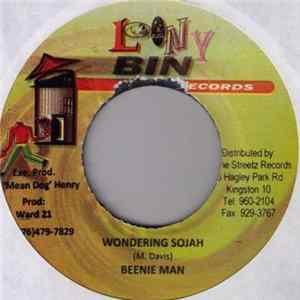 Beenie Man - Wondering Sojah mp3