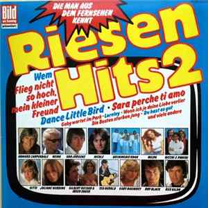 Various - Riesen Hits 2 mp3