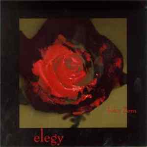 John Zorn - Elegy mp3