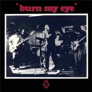 Radio Birdman - Burn My Eye mp3