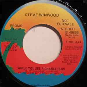 Steve Winwood - While You See A Chance mp3