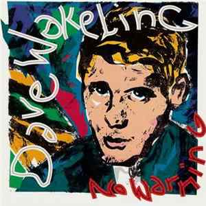 Dave Wakeling - No Warning mp3