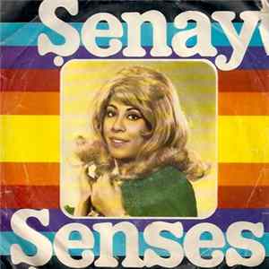 Şenay Şenses - Nem Kaldı / Dam Üstünde Çul Serer mp3