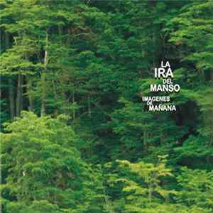 La Ira Del Manso - Imágenes de Mañana mp3