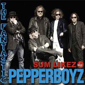 The Fantastic Pepperboyz - Sum Likez mp3