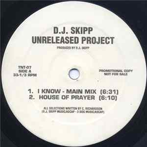 D.J. Skipp - Unreleased Project mp3