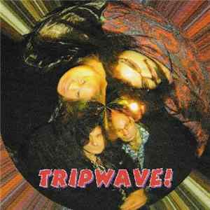 Tripwave - Tripwave mp3
