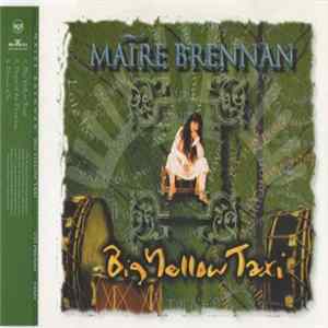 Maire Brennan - Big Yellow Taxi mp3