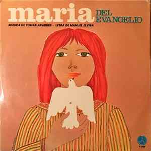 Tomás Aragüés, Manuel Elvira - Maria Del Evangelio mp3