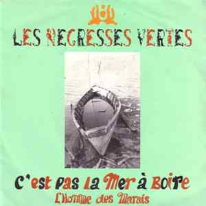 Les Negresses Vertes - C'est Pas La Mer A Boire / L'Homme Des Marais mp3