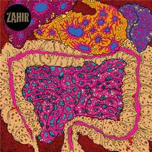 Zahir - What Noise? mp3