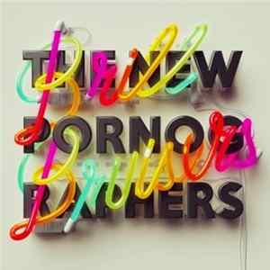 The New Pornographers - Brill Bruisers mp3