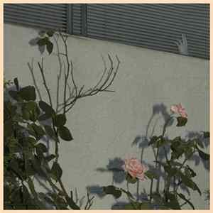 Soft Kill - Savior mp3