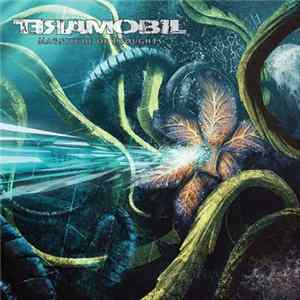 Teramobil - Magnitude of Thoughts mp3
