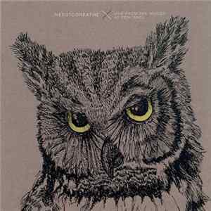 NEEDTOBREATHE - Live From The Woods At Fontanel mp3