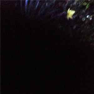 Paul Gonzenbach - Slow Fire Volume 4 mp3
