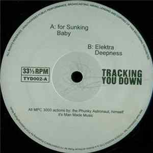 Astrophunk - For Sunking mp3