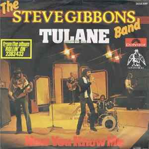 The Steve Gibbons Band - Tulane mp3
