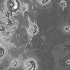 Mister Vapor - Distant Star Outtakes mp3