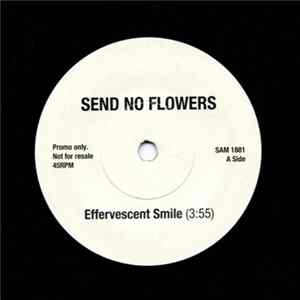 Send No Flowers , Drain - Effervescent Smile mp3