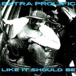 Extra Prolific - Like It Should Be mp3