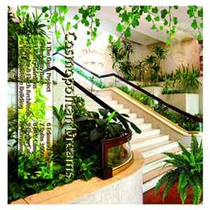 猫 シ Corp. - Cosmopolitan Dreams / Sunday Television mp3