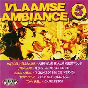 Various - Vlaamse Ambiance 5 mp3