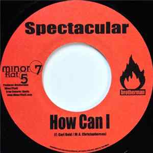 Spectacular - How Can I mp3